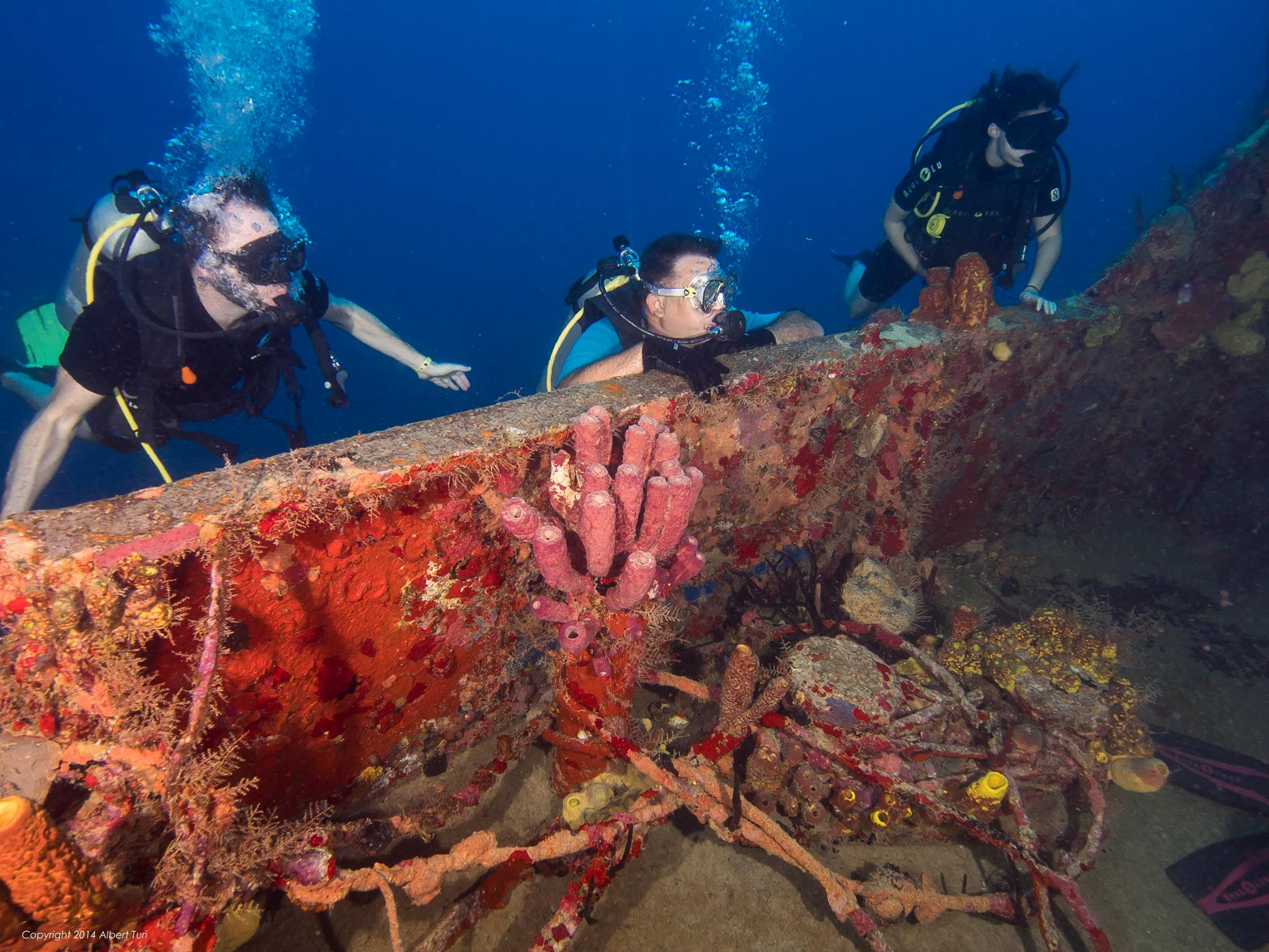 divers exploring shipwreck